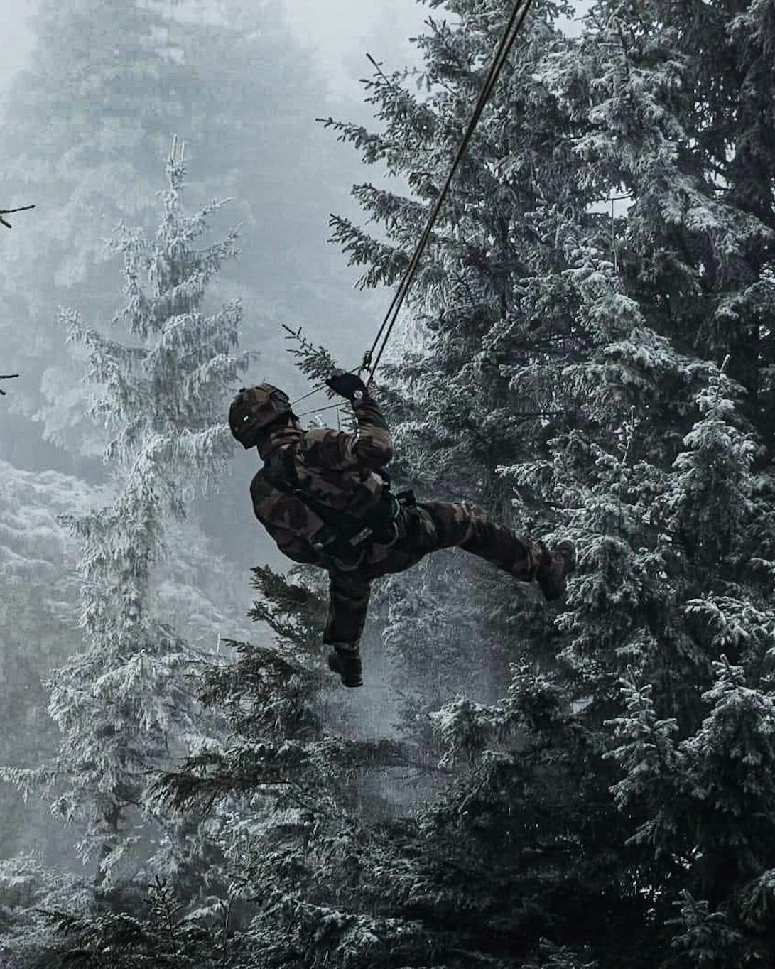 Romania's elite mountain troops train alongside their French Allies as part of NATO's multinational battlegroup in Romania. Pictured here: a soldier rappels from a massive pine tree in a snowy forest in Romania. 