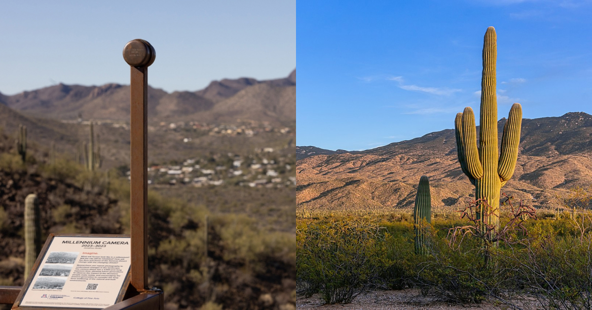 1000 year camera Arizona