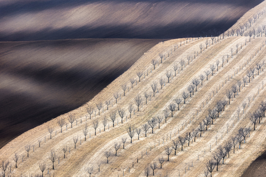 OVERALL WINNER – THE
TRAVEL PHOTOGRAPHER
OF THE YEAR 2023
AndreJa Ravnak, Slovenia
South Moravia, near Kyov,
Czech Republic (Czechia)
In early spring, the soil is still
too cold for growth. An
interesting pattern occured
while a new orchard was
planted on the slope of the hill,
making the scene very abstract.
TECHNICAL DATA
Canon EOS R6, 60-600mm
lens, f8, 1/320s, ISO 200