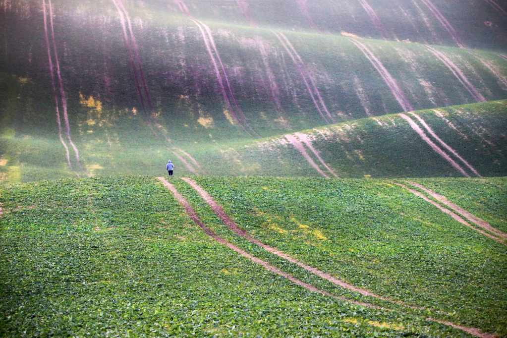 OVERALL WINNER – THE
TRAVEL PHOTOGRAPHER
OF THE YEAR 2023
AndreJa Ravnak, Slovenia
South Moravia, near Cejc,
Czech Republic (Czechia)
The undulating field is planted
with cover crops, which are
used to improve soil quality.
TECHNICAL DATA
Canon EOS 6D, 150-600mm
lens, f6.3, 1/1000s, ISO 5000